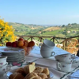 Venti Roncofreddo